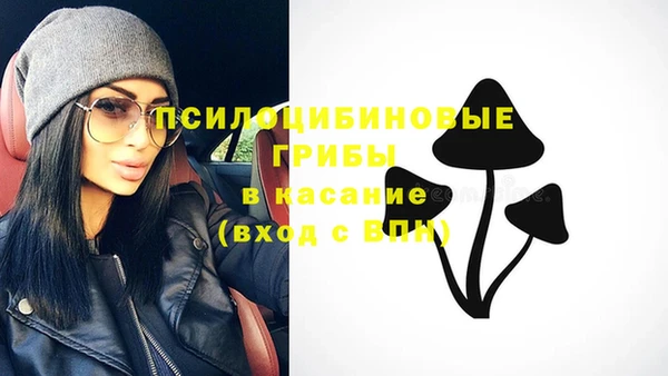 шишки Дмитров
