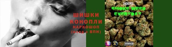 шишки Дмитров