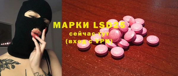 шишки Дмитров
