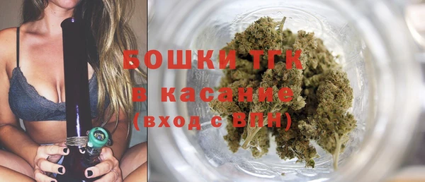 шишки Дмитров