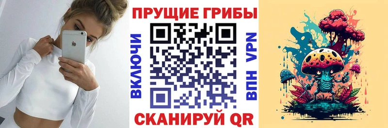 ссылка на мегу вход  что такое наркотик  Зеленодольск  Псилоцибиновые грибы Psilocybe 