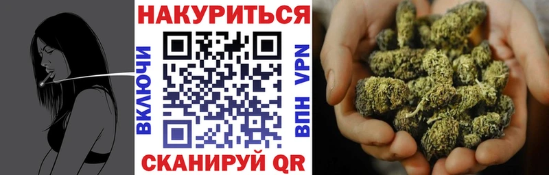 Конопля сатива  mega   Зеленодольск  наркотики 